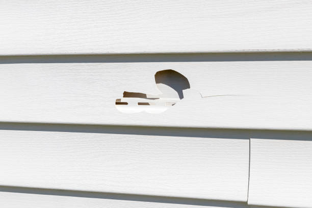 Storm Damage Siding Repair in Naples Manor, FL