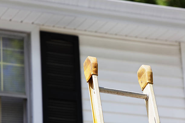 Best Stucco Siding  in Naples Manor, FL