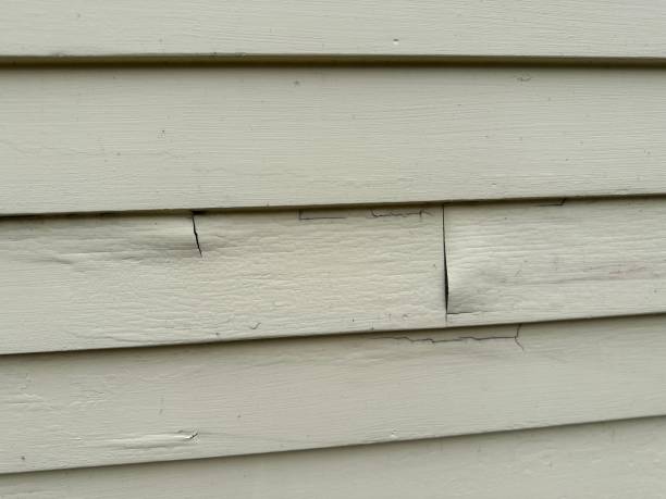 Custom Trim and Detailing for Siding in Naples Manor, FL